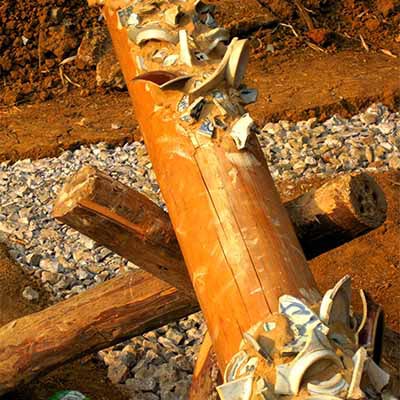 Jiuxian 1 Alt - 3,00m